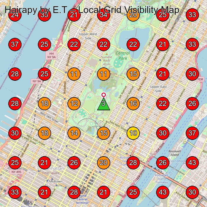 Hairapy by E.T GeoGrid visibility map for Hair Salon in New York